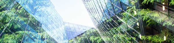 green city - double exposure of lush green forest and modern skyscrapers windows