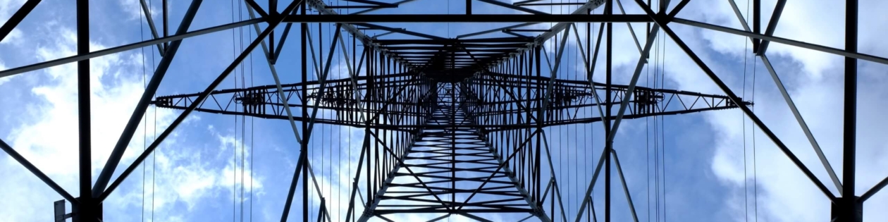 Electric grid